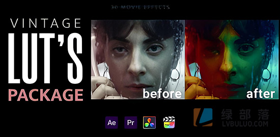 30个经典怀旧电影复古色调视频调色预设 Vintage LUTs Presets Collection