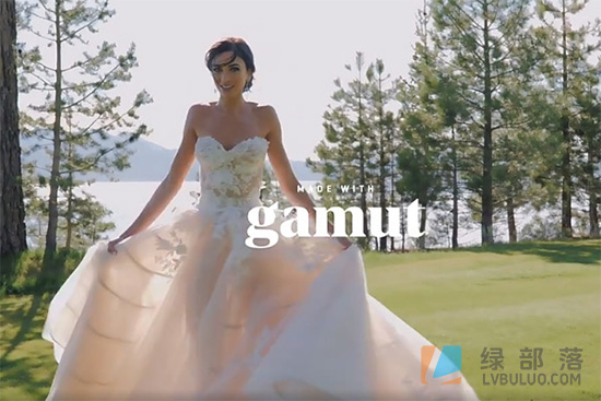 5款经典胶片浪漫婚礼摄影调色预设 White In Revery – Adagio