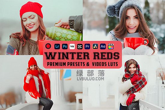 2个温暖明亮冬季人像后期调色预设 Winter Reds Luts Video & Presets
