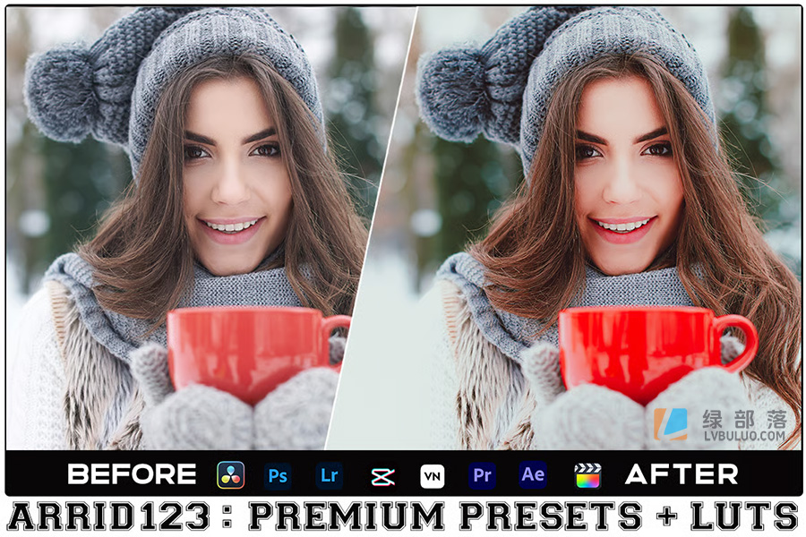 2个温暖明亮冬季人像后期调色预设 Winter Reds Luts Video & Presets