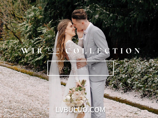 6款婚礼温馨浪漫甜美色调肤色调色预设 WIR Lut Collection – Dolce Luts