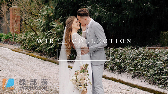 6款婚礼温馨浪漫甜美色调肤色调色预设 WIR Lut Collection – Dolce Luts