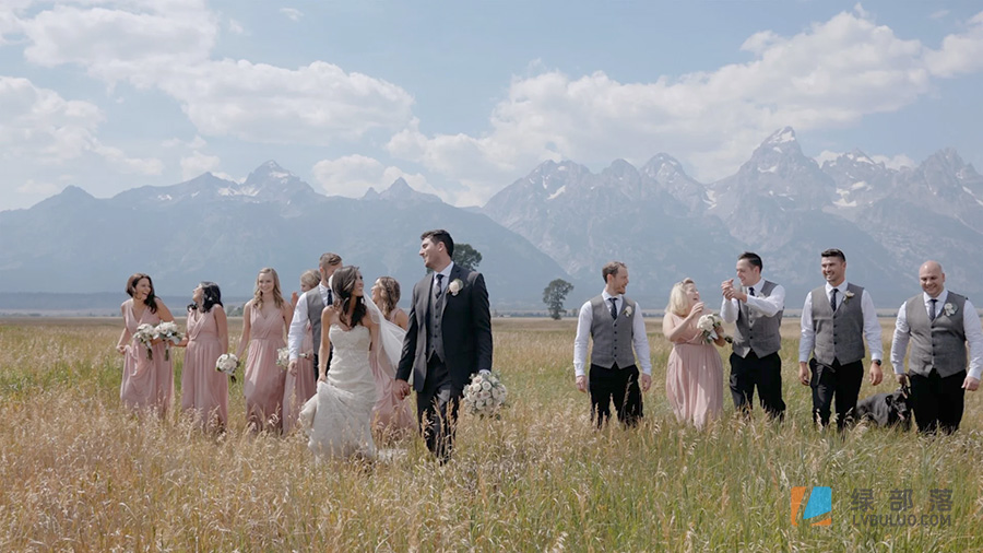 6款婚礼温馨浪漫甜美色调肤色调色预设 WIR Lut Collection – Dolce Luts