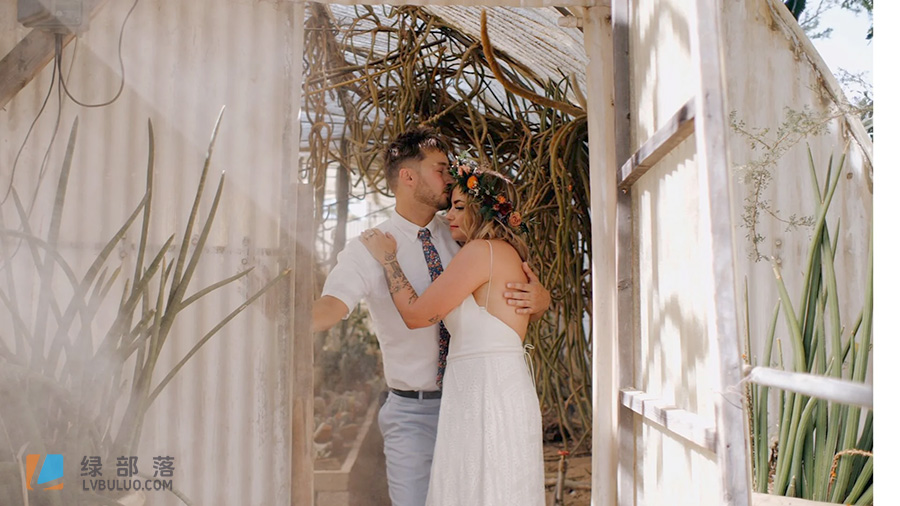 6款婚礼温馨浪漫甜美色调肤色调色预设 WIR Lut Collection – Dolce Luts