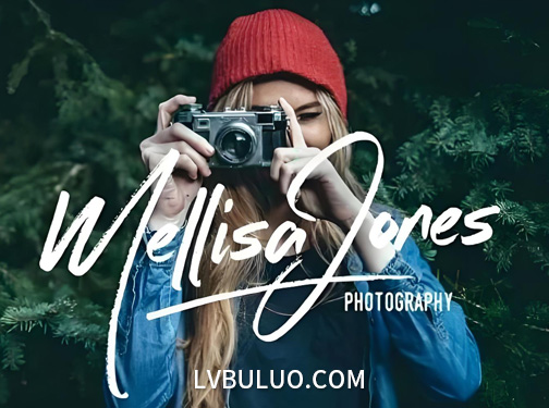 4个适用于签名的精美优雅手写风格英文字体