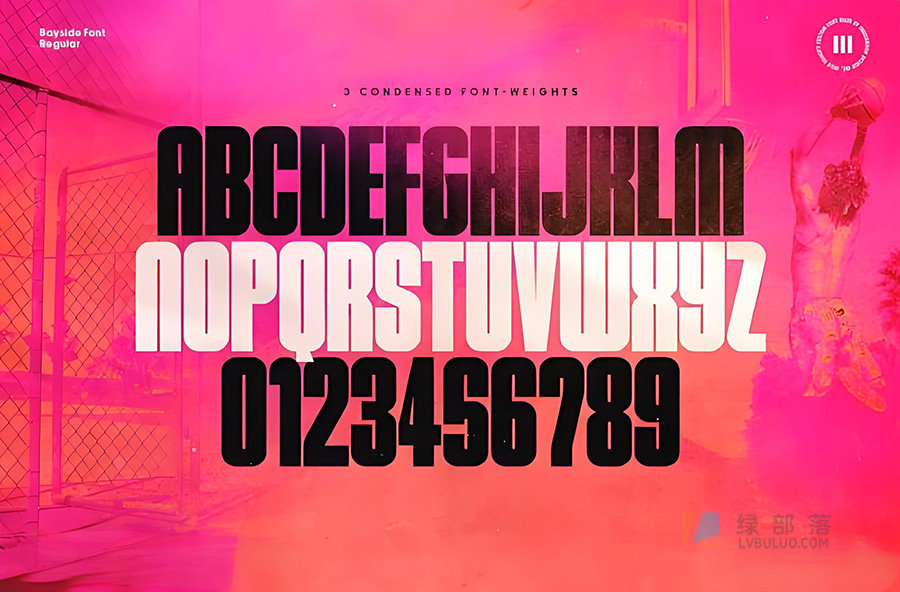 20款创意英文字体艺术清新适用Vlog旅行等视频封面使用