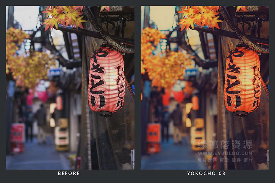 20款日本新宿城市霓虹灯夜景街拍视频图片调色预设 20 Shinjuku Lightroom Presets & LUTs