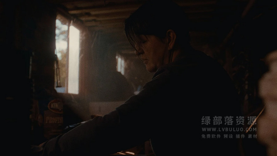 KODAK 2383 柯达胶片复古电影色彩模拟预设+达芬奇PowerGrade节点预设 Analogica Lab – KODAK 2383 PowerGrade