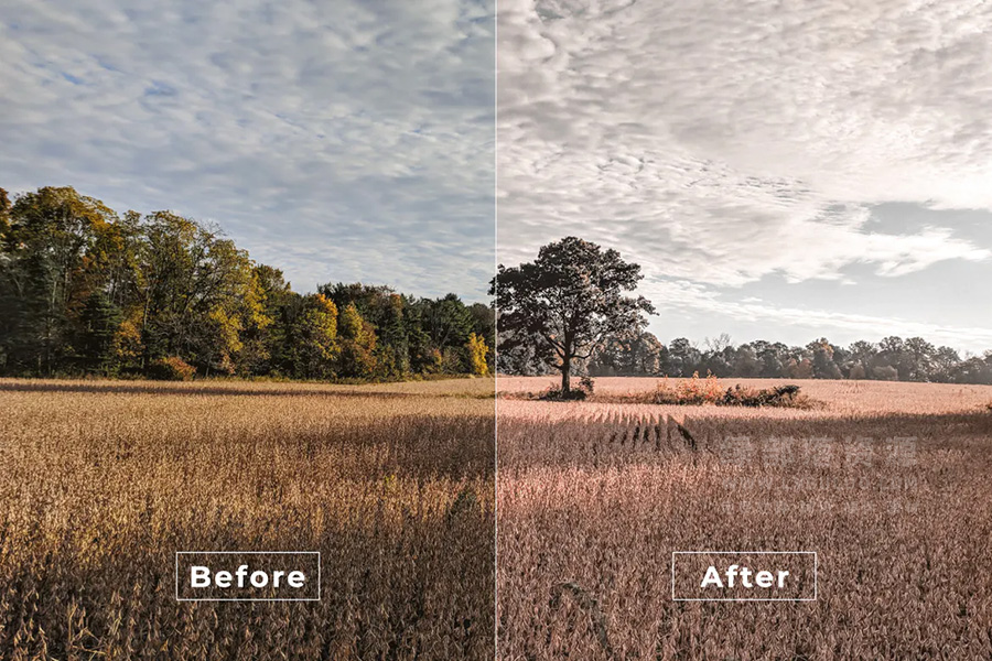 短视频Vlog电影感专业色彩视频图片调色预设第21款 Bangset Cinema Video LUTs Pack 21