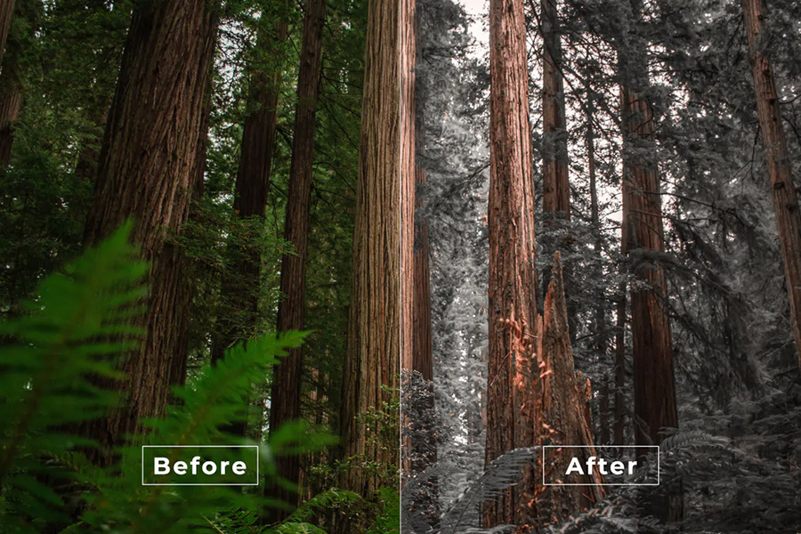 短视频Vlog电影感专业色彩视频图片调色预设第21款 Bangset Cinema Video LUTs Pack 21