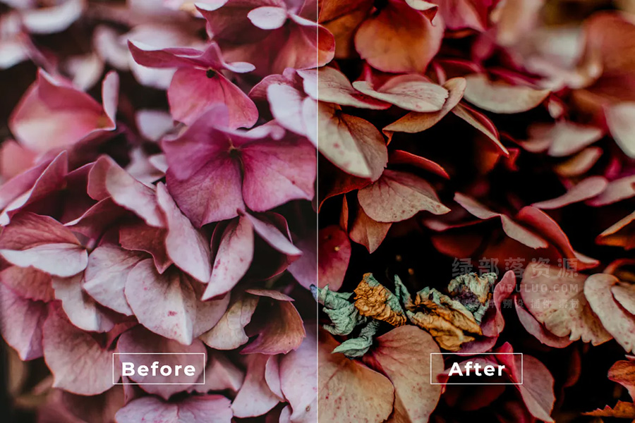 短视频Vlog电影感专业色彩视频图片调色预设第25款 Bangset Cinema Video LUTs Pack 25