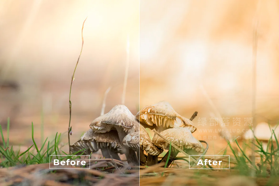 短视频Vlog电影感专业色彩视频图片调色预设第25款 Bangset Cinema Video LUTs Pack 25