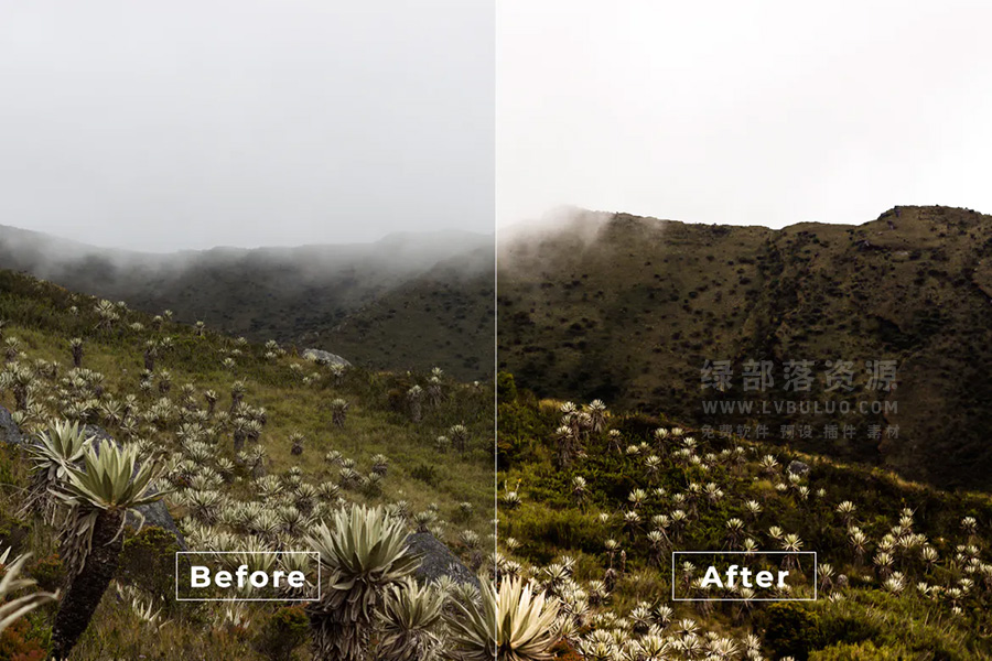 短视频Vlog电影感专业色彩视频图片调色预设第26款 Bangset Cinema Video LUTs Pack 26