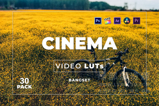 短视频Vlog电影感专业色彩视频图片调色预设第30款 Bangset Cinema Video LUTs Pack 30