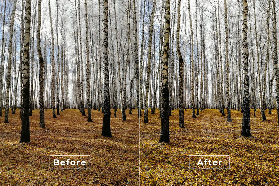 短视频Vlog电影感专业色彩视频图片调色预设第30款 Bangset Cinema Video LUTs Pack 30