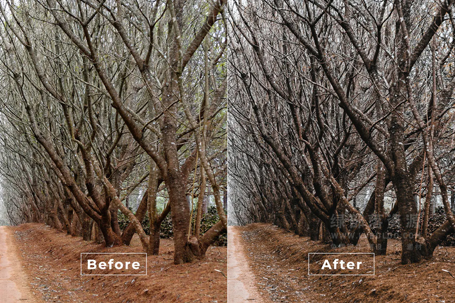 短视频Vlog电影感专业色彩视频图片调色预设第33款 Bangset Cinema Video LUTs Pack 33