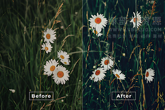 短视频Vlog电影感专业色彩视频图片调色预设合集 11-13期 Bangset Cinema Video LUTs Pack 11-13