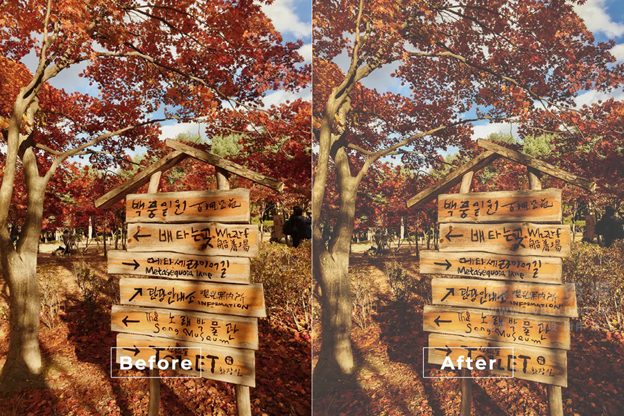 第30款短视频Vlog电影感色彩视频图片调色预设包 Bangset Cinematic Pack 30 Video LUTs