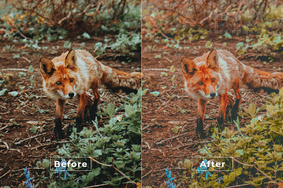 第38款短视频Vlog电影感色彩视频图片调色预设包 Bangset Cinematic Pack 38 Video LUTs