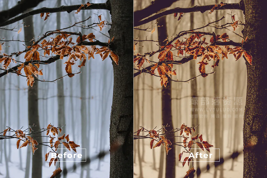 第40款短视频Vlog电影感色彩视频图片调色预设包 Bangset Cinematic Pack 40 Video LUTs