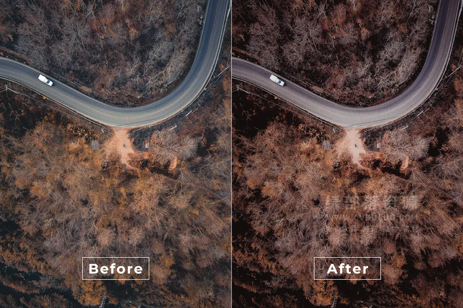 10套100款经典好莱坞电影色调旅拍航拍视频图片调色预设 Bangset Hollywood Pack 1-10 Video LUTs