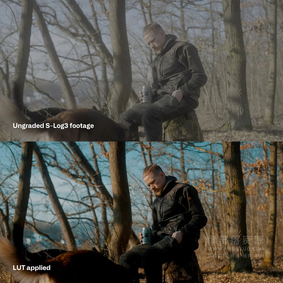 索尼SLog3无反相机灰片颜色校正调色预设 Cinem8 – Sony-SLog3 Cinematic LUTs