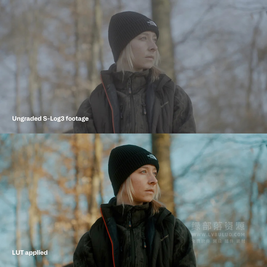 索尼SLog3无反相机灰片颜色校正调色预设 Cinem8 – Sony-SLog3 Cinematic LUTs