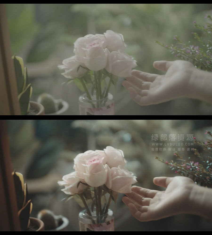 四个系列电影质感美颜淡调风格视频图片调色预设包 Colorwheelstore – Combo – LUT Collection Pack