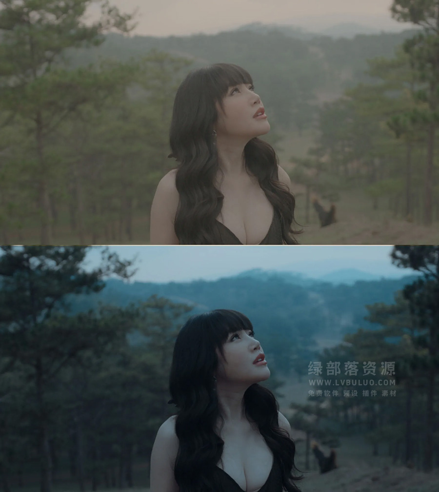 四个系列电影质感美颜淡调风格视频图片调色预设包 Colorwheelstore – Combo – LUT Collection Pack