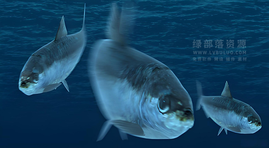 4K视频素材-124个鱼类恐龙鸟鲨鱼蝴蝶翅膀等动物素材 Production Crate – Animals & Creatures