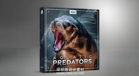 音效素材 1085种海洋动物音效海狮海豹海豚海象嘶吼捕食鸣叫无损音效 Boom Library – Aquatic Predators