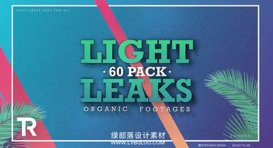 视频素材 60个明亮镜头光效动画漂亮炫光视频特效素材 Light Leaks