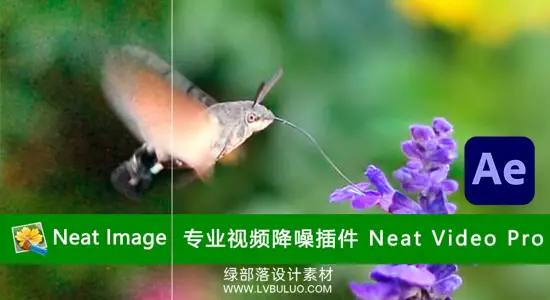 AE插件 专业视频降噪工具 Neat Video Pro Win汉化版