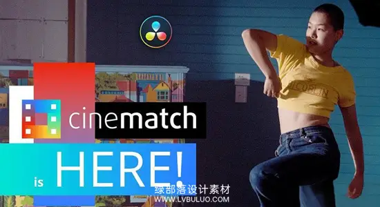 达芬奇/OFX插件 摄像机色彩空间匹配调色工具 CineMatch OFX Win