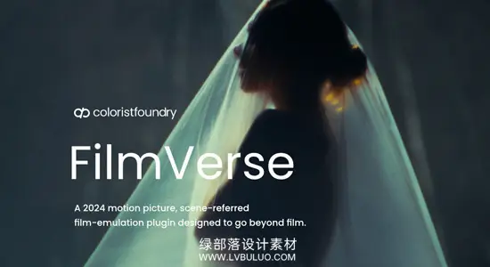 达芬奇脚本 模拟复古电影胶片DCTL节点调色预设包 Colorist Foundry – FilmVerse Full Plugin