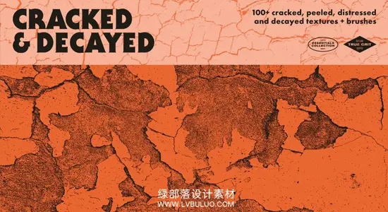 图片素材 106款墙皮剥落纹理油漆裂纹破损腐烂设计元素 Cracked & Decayed Texture Pack