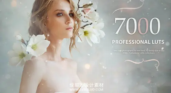 调色预设 7000+梦幻童话风格婚礼情感食物森林爱情LUT包 Eldamar Studio – 7000+ Professional LUTs