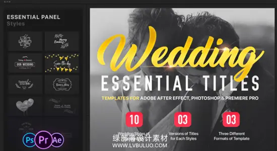 AE/PR模板 30款简约婚礼文字优美爱情标题动画 Essential Wedding Titles