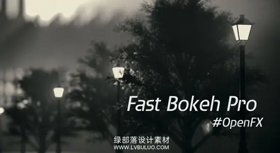 达芬奇/OFX插件 快速镜头景深模糊插件专业版 Fast Bokeh Pro for OpenFX Win