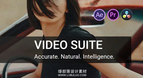 AE/PR/达芬奇插件 经典视频降噪人像磨皮美颜调色套装工具 Imagenomic – Video Suite (Portraiture/Noiseware) Win