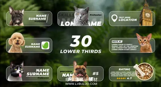 AE模板 30款字幕条动画照片视频Logo头像文字标题 Lower Thirds with Photo or Video