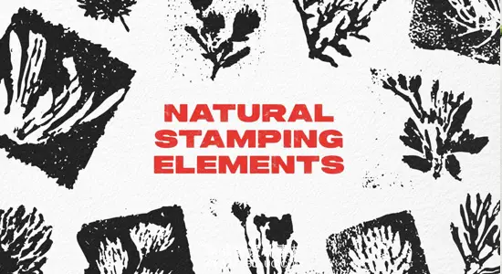 矢量素材 48款印章雕刻风格自然植物茎叶剪影元素 Natural Stamping Elements