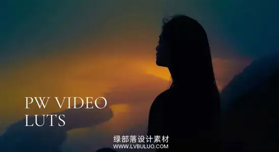 调色预设 16款日常视频色彩处理快速校正调色LUT包 Polina Washington – Video LUTS