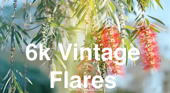4K视频素材 65个复古光效动画镜头阳光光晕叠加素材 Rocket Rooster – Vintage Flares