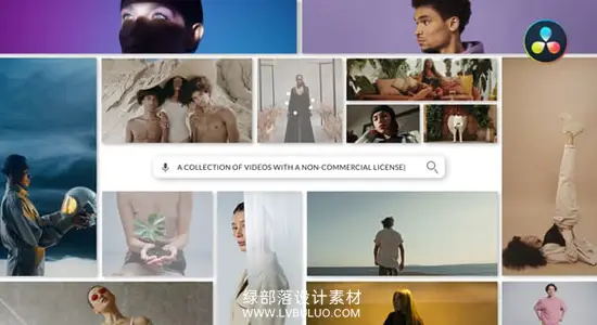 达芬奇模板 时尚创意搜索栏品牌展示幻灯片动画 Search Logo Reveal for DaVinci Resolve