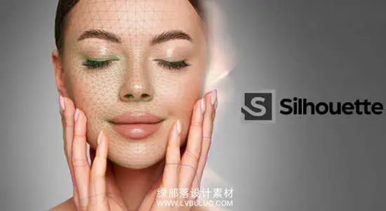 AE/PR/达芬奇/VEGAS/OFX插件 影视后期ROTO跟踪抠像合成软件 Silhouette 2026.0 CE Win