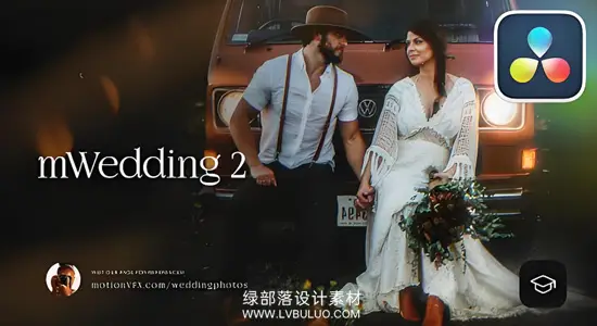 达芬奇预设 婚礼视频剪辑工具包字幕条+标题+转场特效 mWedding 2