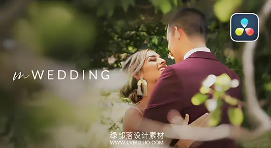 达芬奇预设 65个婚礼剪辑特效+字幕条标题+转场+LUT包 mWedding