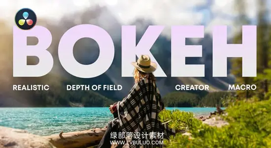 达芬奇预设 梦幻光斑与柔焦镜头光效散景叠加特效 Bokeh Master
