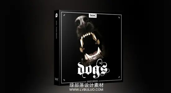 音效素材 259个各种狗吠叫犬只打架进食饮水低吼嗅闻音效 Boom Library – Dogs